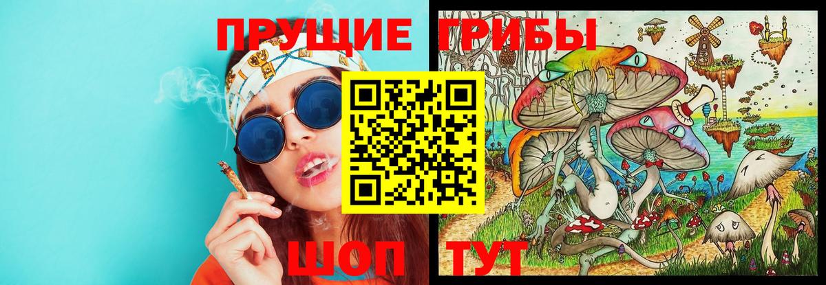 Галлюциногенные грибы прущие грибы Кызыл